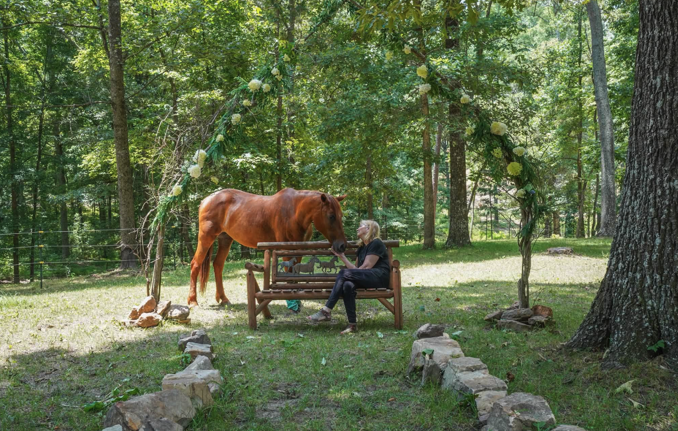 A quiet seat beneath the trees with a horse nearby